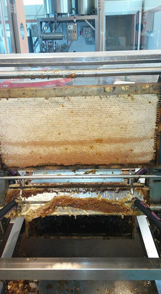 a hive with honey at Corfu Beekeeping Vasilakis facilities
